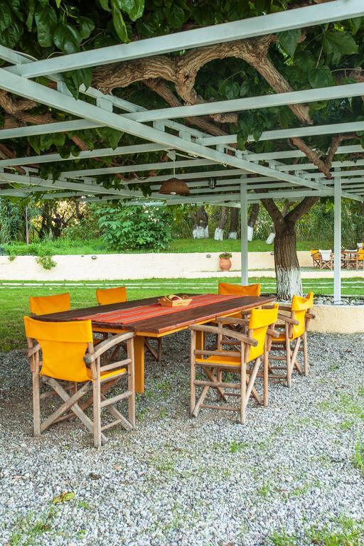 Billy'S House Apartment Vasiliki  Ngoại thất bức ảnh